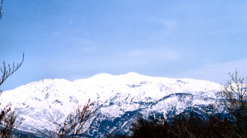望岳苑の屋根越しに見る白山
