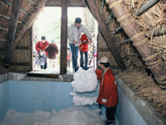 氷室への雪詰め作業