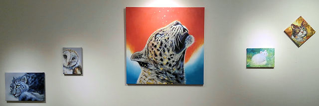 ���{�D��