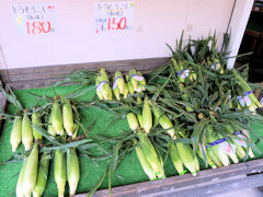 �Ƃ����낱��