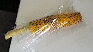 �Ă��Ƃ����낱��