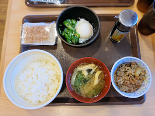 ���܂��̂������H�i���j