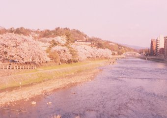 asanogawa bridge