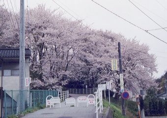 金沢桜丘高校