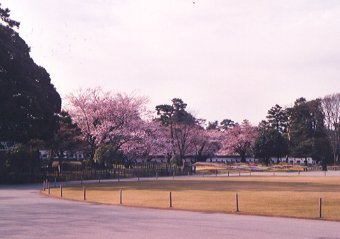 金沢城公園・三の丸広場