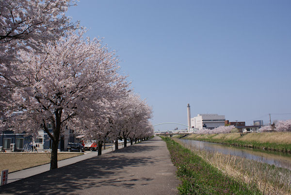 保古橋