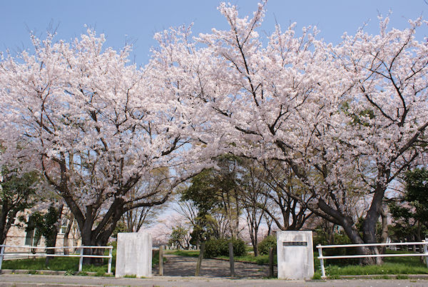 یÓ