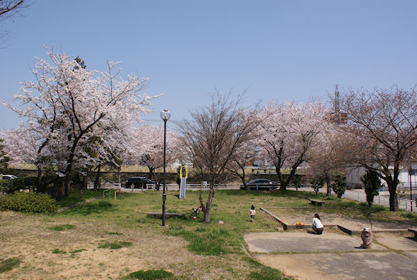 یÓ