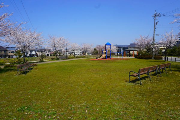 田上桜の道公園