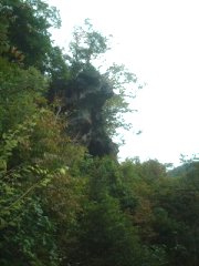 �Ԑ��ߓa�ω�