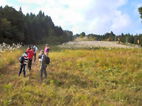 ���|�g�s�A�Q�����f�̓r��