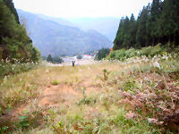 なべたに駅を見る