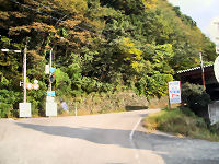 �����S�V�P�����@�������