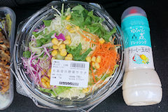 �T���_�ƃh���b�V���O