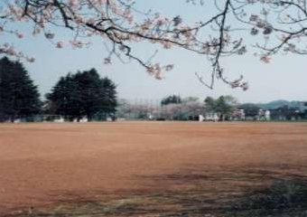 金沢大学工学部の運動場の桜