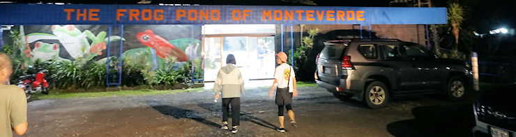 The Frog Pond of Monteverde